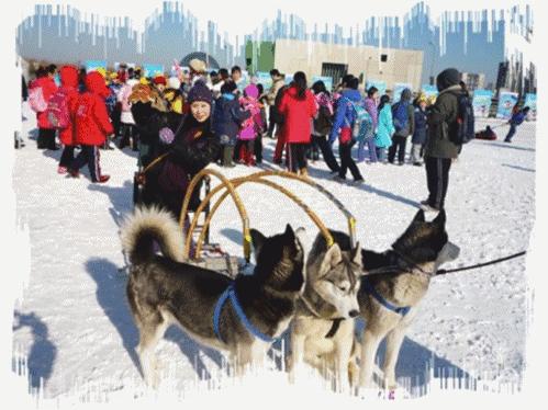 北京春节庙会交通管制最新通告,2019年北京庙会时间