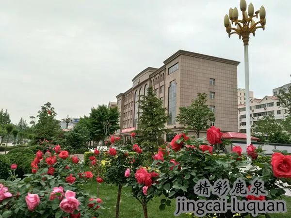 2018鹿泉的“政府帐本”来了！