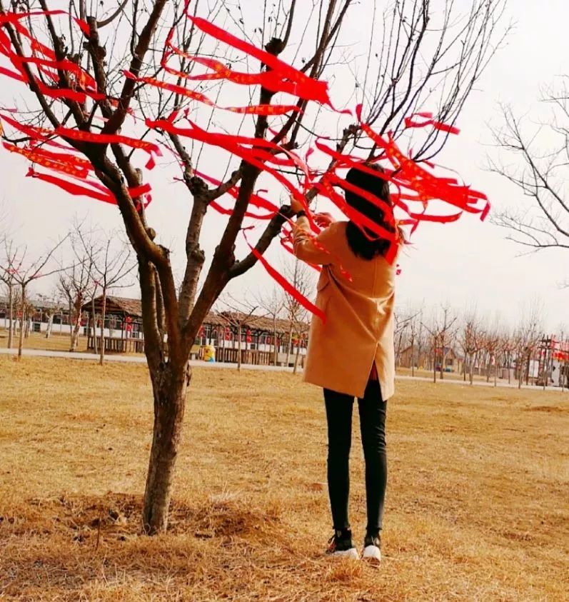 福乐枣庄贺年会｜古城祥和庄园“年味”十足！