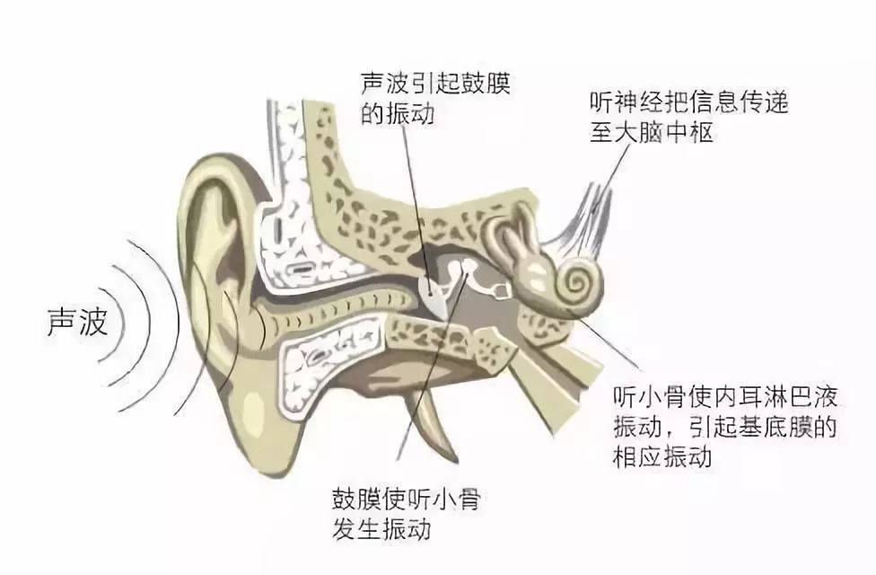 每天戴耳机4小时算耳聋吗,耳机不小心戴了一晚上会聋吗