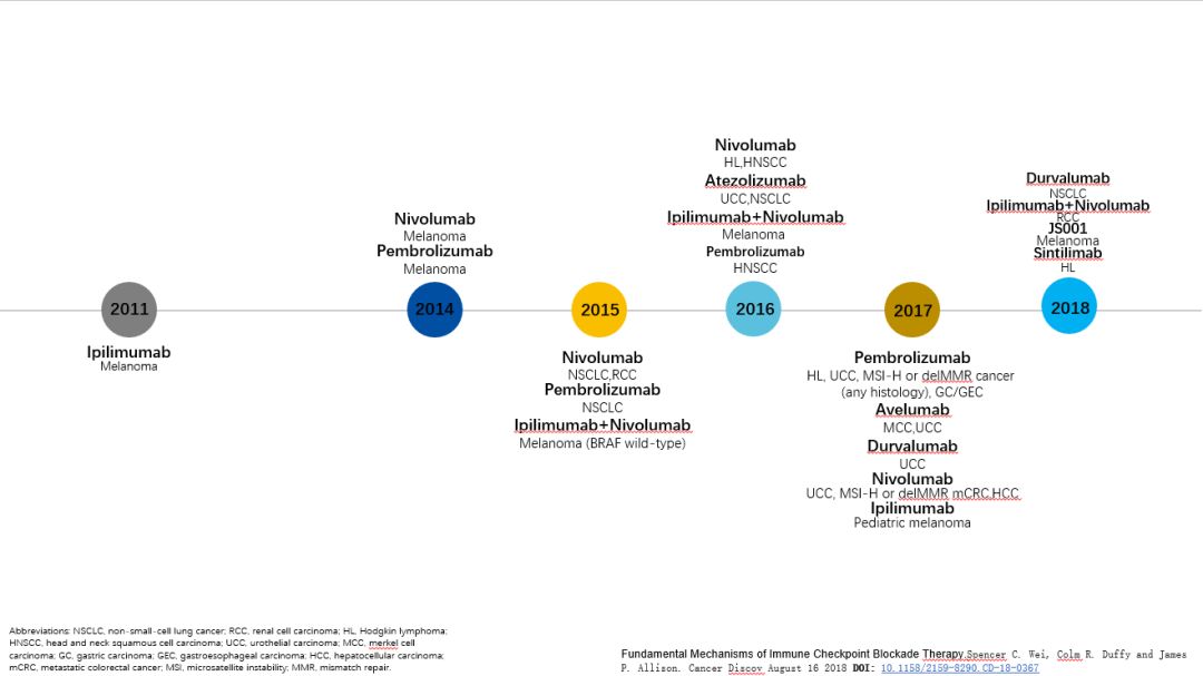 3分钟看懂免疫治疗,一文详解精准预测免疫治疗疗效