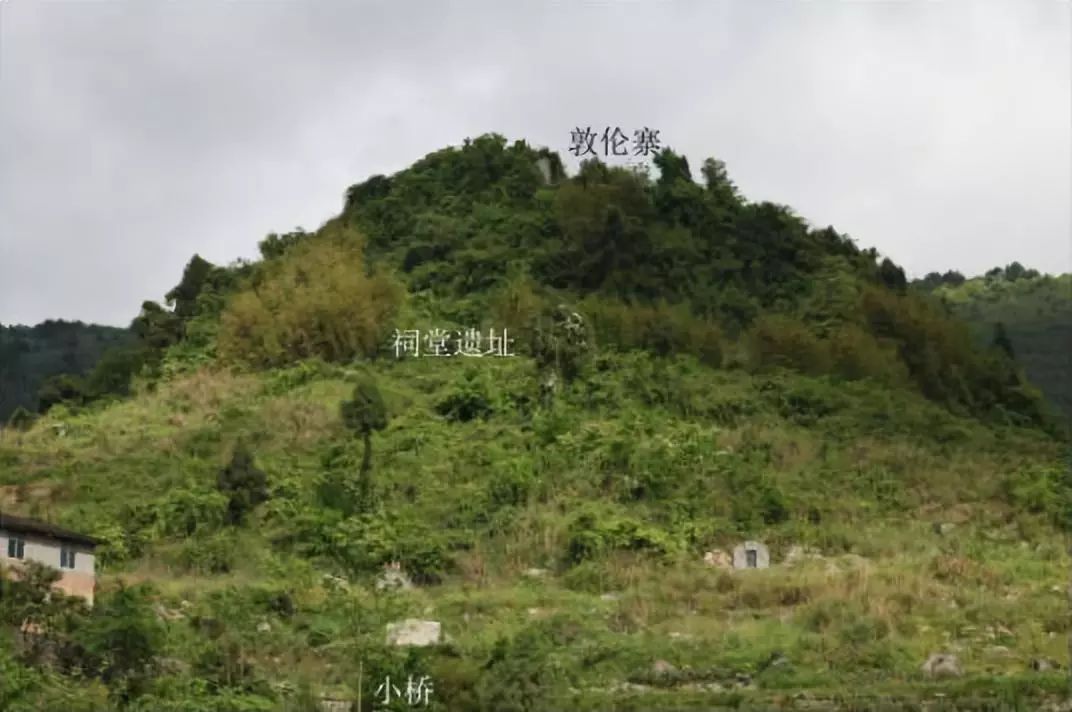 邱秋四川广安哪里人,湖广填四川邱姓氏分布