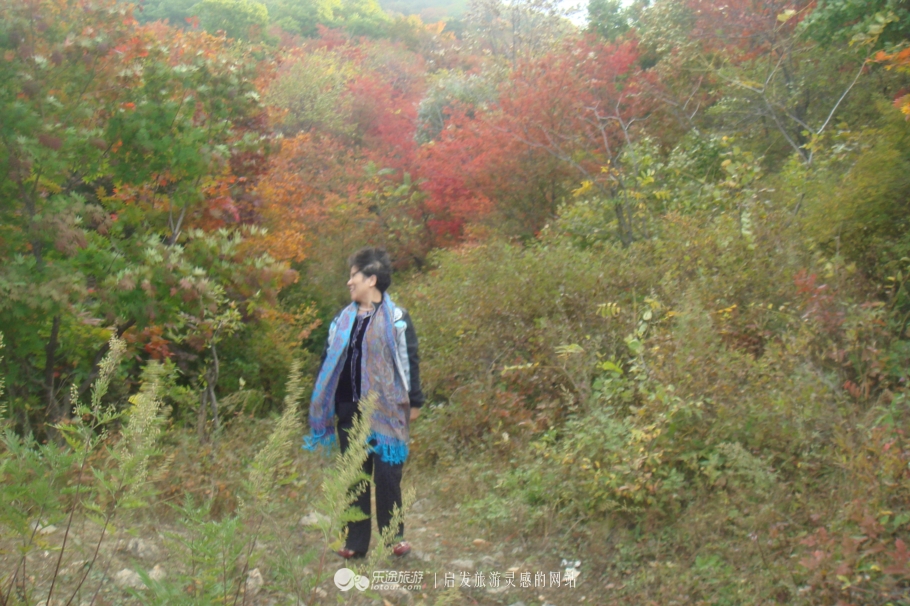 本溪市有名的画家,本溪桓仁画家村