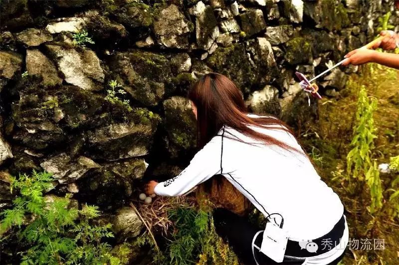 “村头”走向世界有多远？秀山296个电商网点让土货轻松变网货