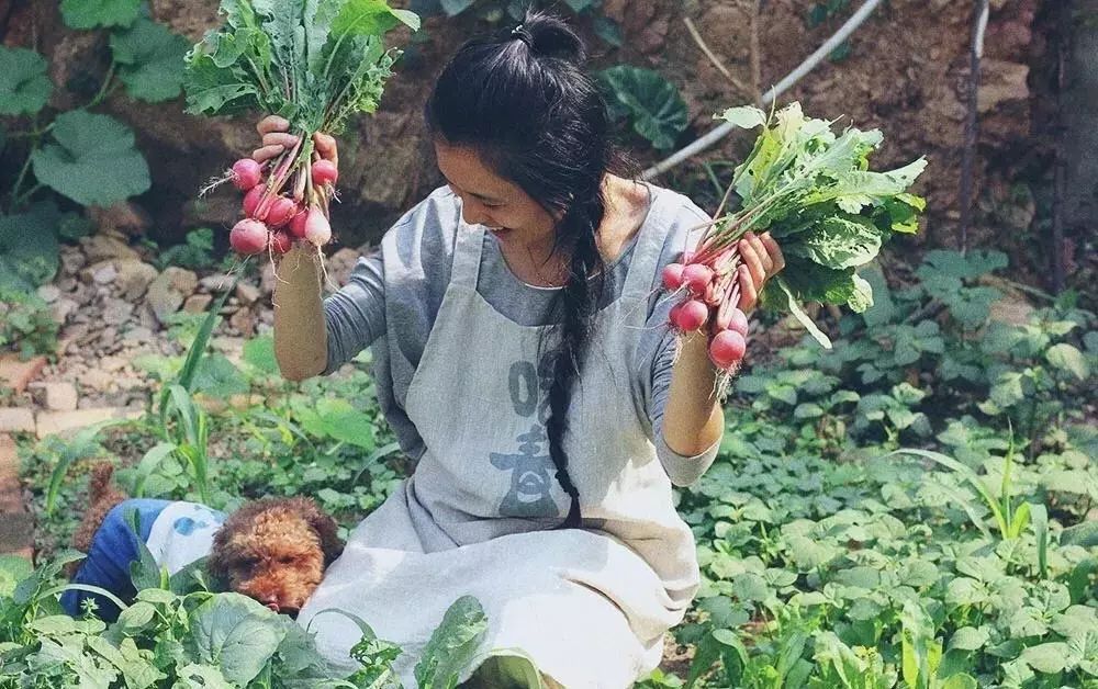 出租屋改造捡破烂,靠捡废品装修