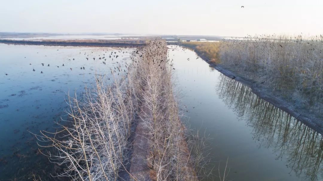 武汉竹叶海湖生态湿地公园,武汉东湖绿道湿地公园