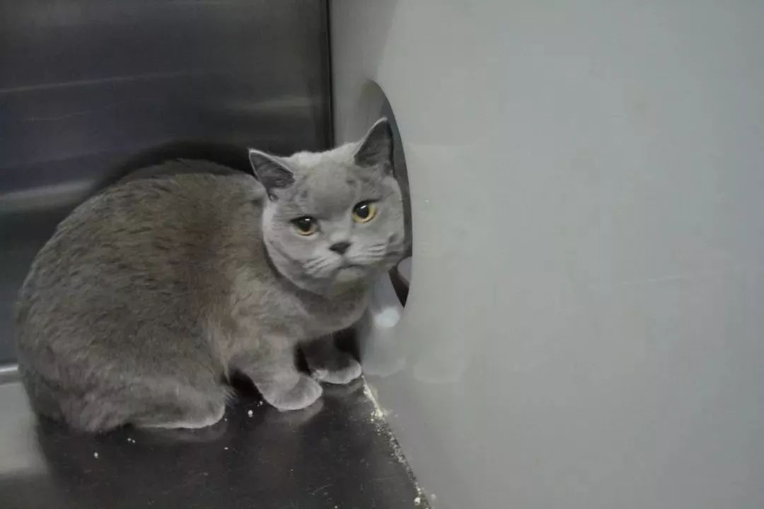 开车带200条香烟查到怎样处罚,开车带烟超过49条怎么处理