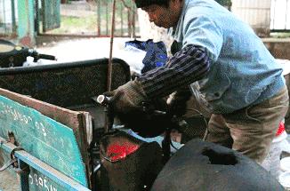 从南钢到扬子的距离,是大厂人一日三餐的味道