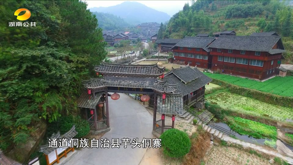 湘西芋头侗寨遗址,侗族芋头寨