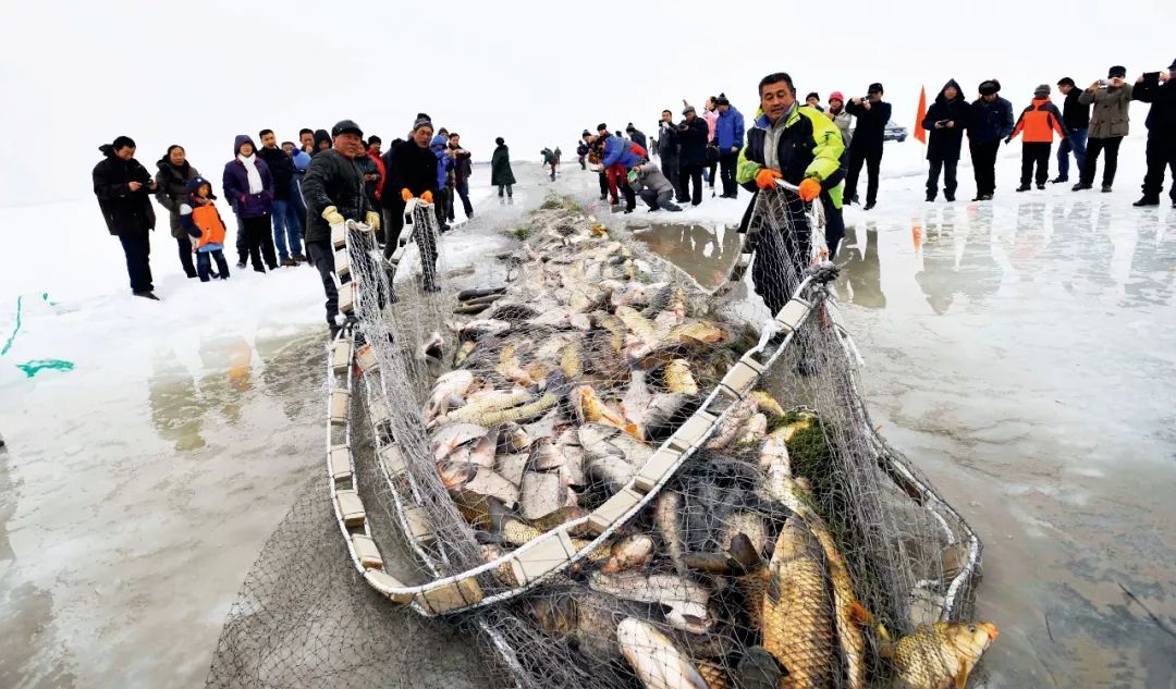 年年有鱼的做法用什么鱼,春夏秋冬吃各种鱼有讲究吗