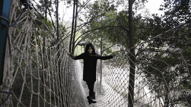 花田小镇过年,花田古镇旅游攻略