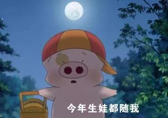 想生个猪宝宝吗,想生个猪宝宝