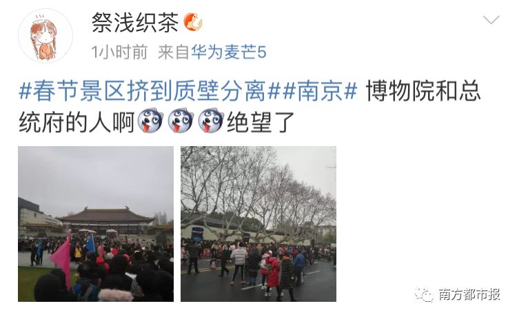 人从众第四个字怎么念,人从众什么意思