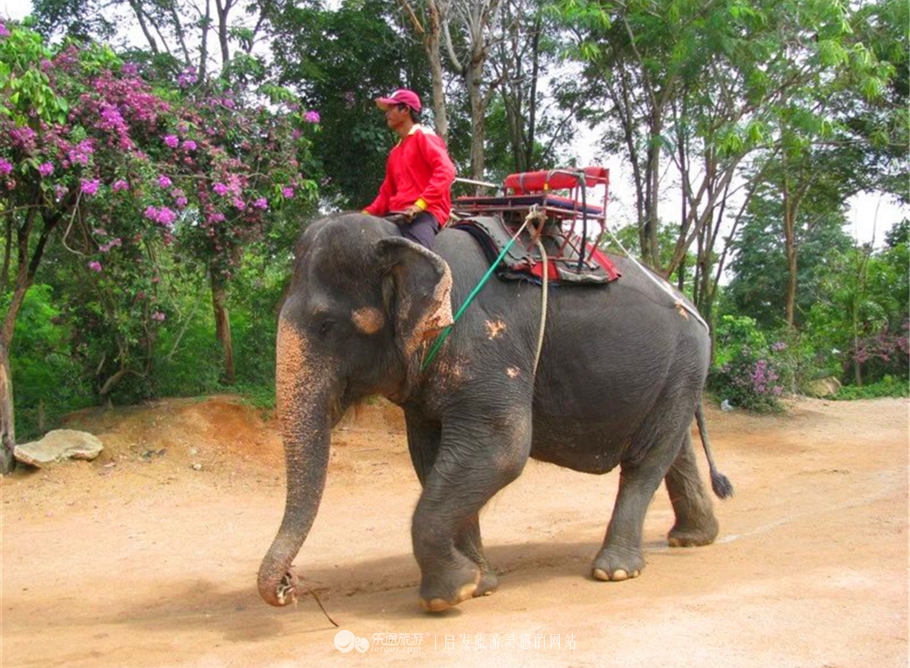 發泰泰泰国餐厅,泰泰發-泰国大排档