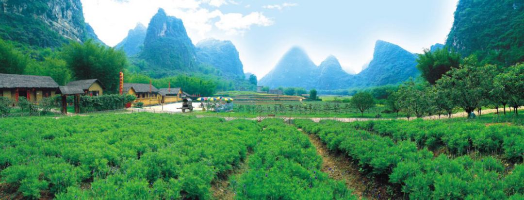 肇庆鼎湖重阳登高,中秋肇庆去哪玩