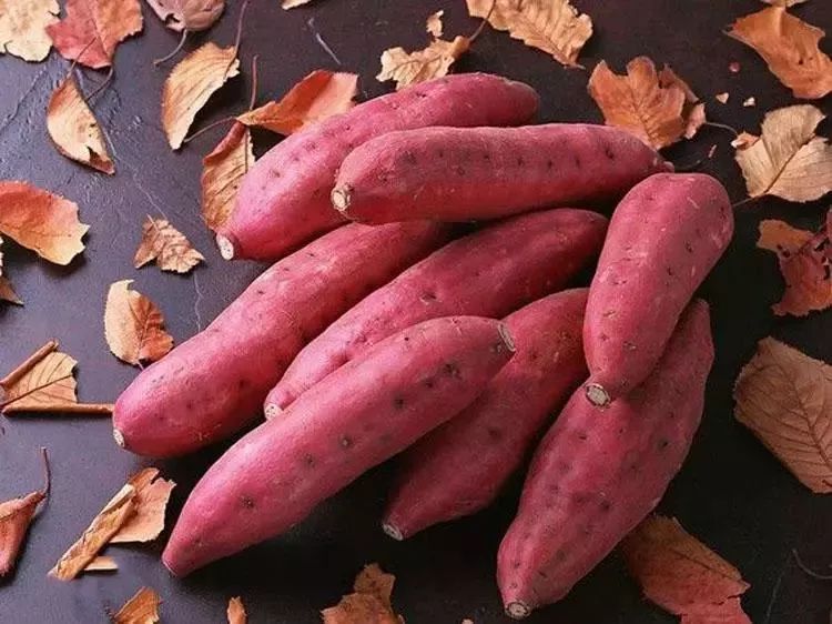 防城港好货,防城港哪里有干货批发