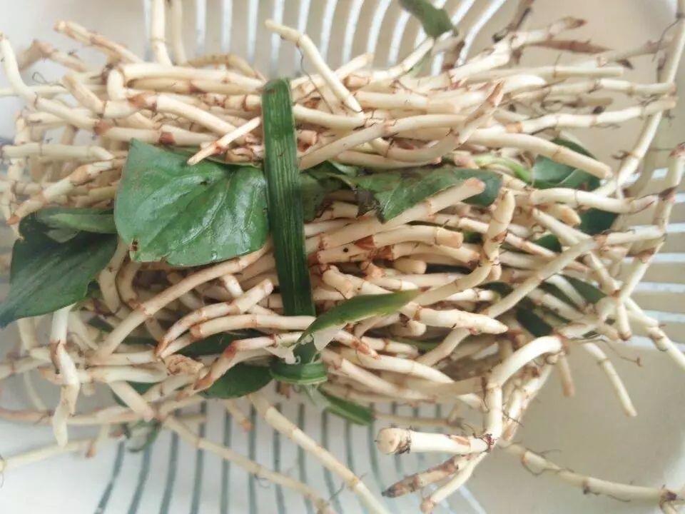 贵阳不光折耳根还有很多美食,贵阳美食里有特色米饭