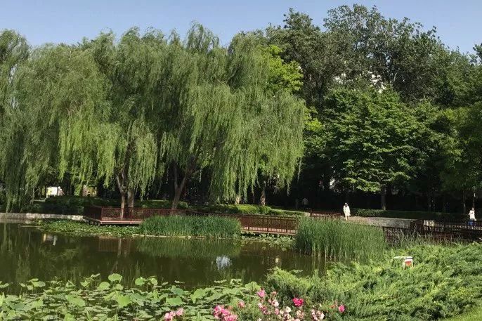 北京60岁旅游免费景点,北京爬山免费景点推荐