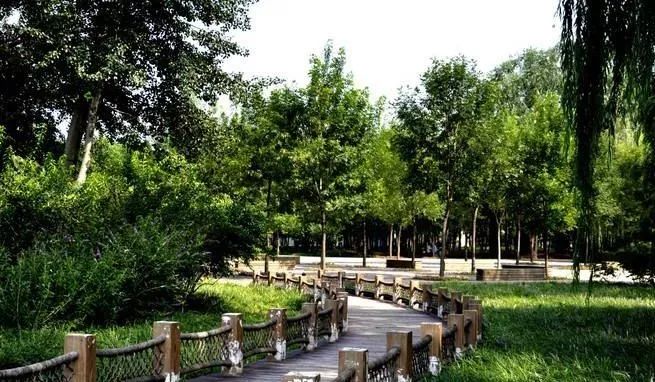 北京好玩免费的景点排名榜,北京有哪些免费的旅游景点