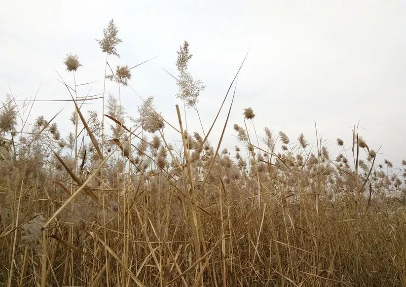 北京好玩免费的景点排名榜,北京有哪些免费的旅游景点