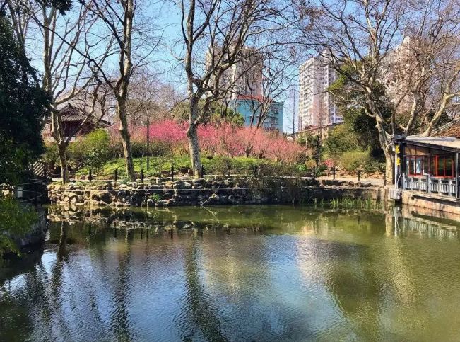 假期没玩够文旅,春节假期没有好好享受