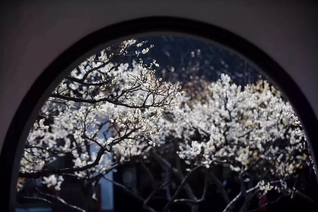 假期没玩够文旅,春节假期没有好好享受