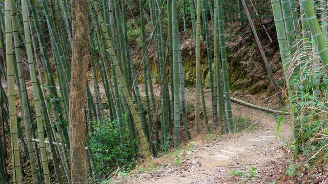 户外防晒防风夹克,布来亚克防风防水速干夹克