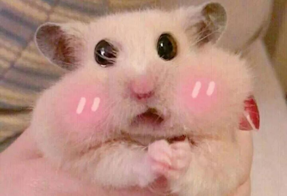 温暖中国的春天,温暖中国阳光正好