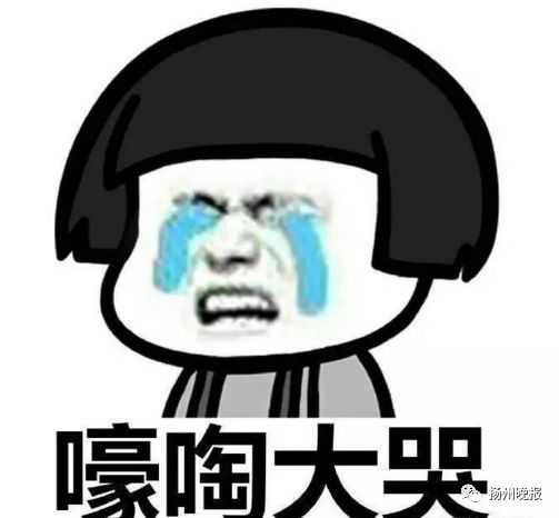 雨雨雨雨雨雨雨雨雨雨~二月泡汤了！