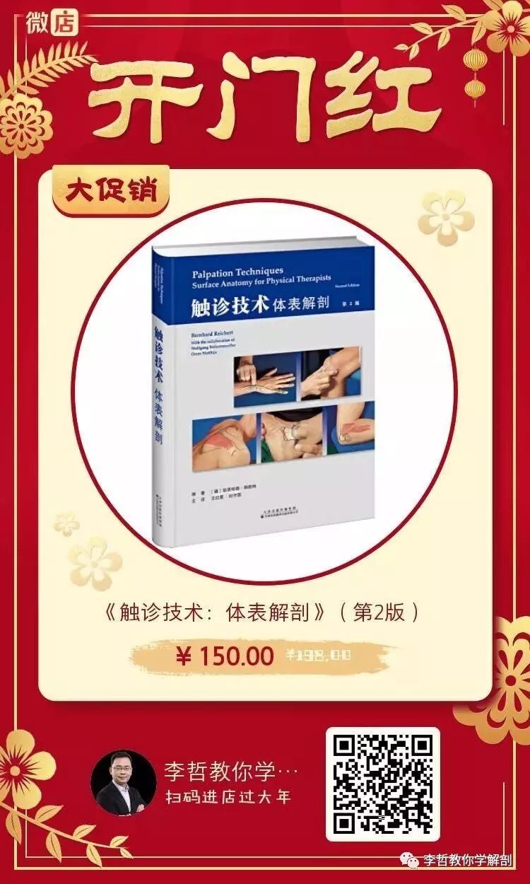 好书推荐｜《触诊技术》——李哲人体科学团队——开年首发