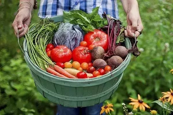 常见的农产品质量安全,农产品安全的主要问题有哪些