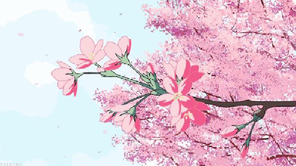 美妆大牌昌吉限量发售：688元/套|手慢无！兰芝|欧莱雅|雅漾|自然堂