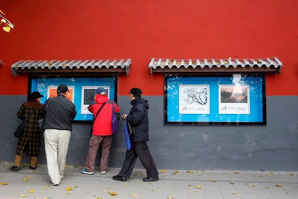 大悟红叶摄影,大悟红叶景区项目