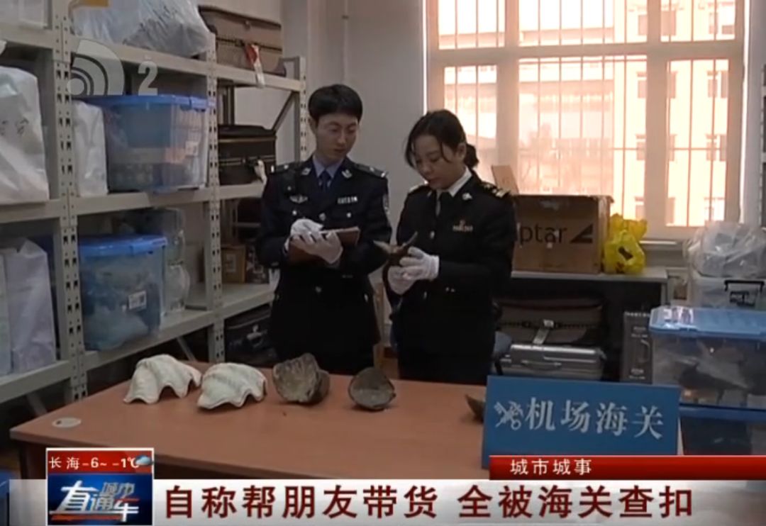 帮别人带货被扣了怎么说,帮忙带货被查