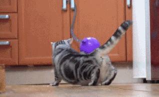 羽绒服脏了怎么局部干洗,羽绒服脏了怎么干洗最好