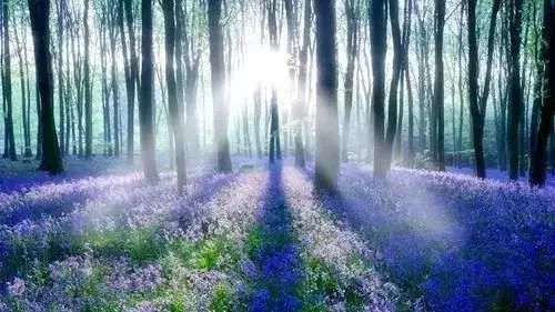 92岁老太太长寿秘诀,美国长寿老太太秘诀