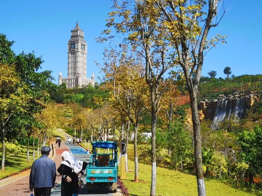 浼戦棽椹跨珯,浼戦棽椹跨珯2015