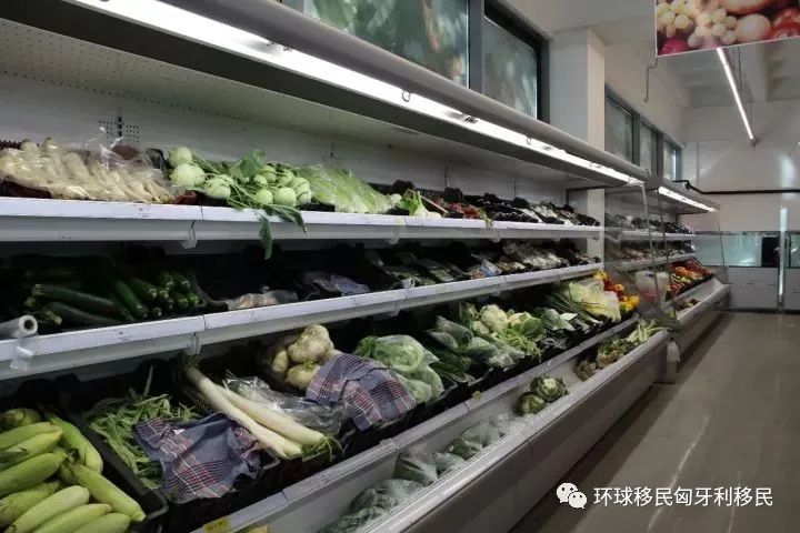 移民匈牙利的普通华人过得好吗,匈牙利布达佩斯唐人街视频