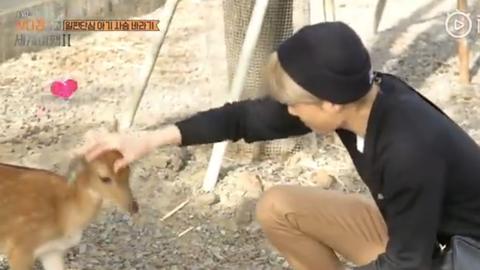 exo分享的视频,exo分享