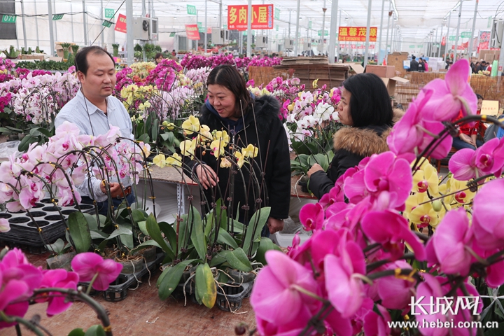 河北省新发地未来怎么规划,新发地市场里的商机
