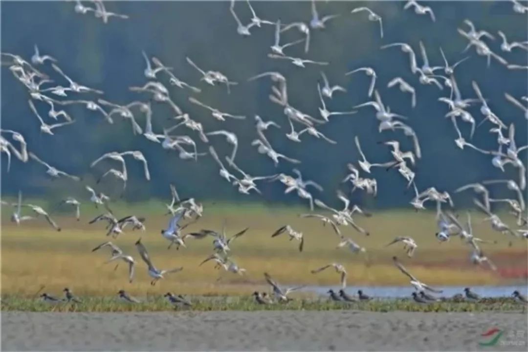 防城港山心沙岛和山新沙滩,广西防城港山心沙