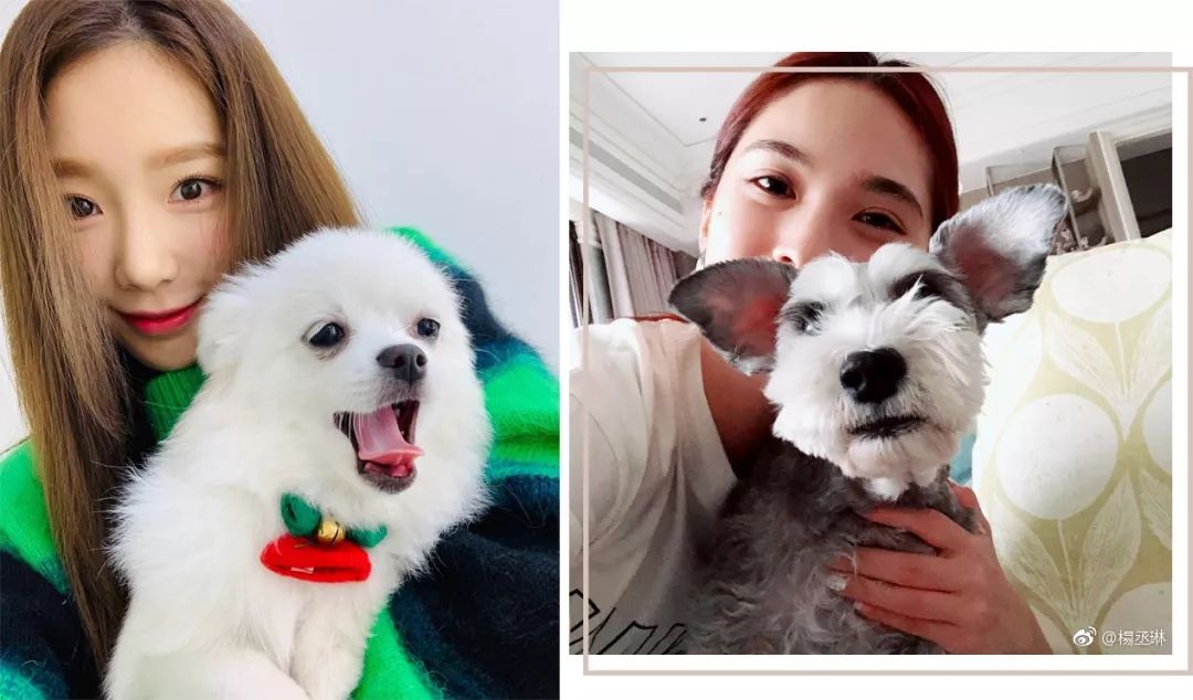 有趣的拍照pose,好嗨哟pose