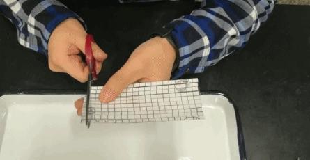 补作业的你分身乏术?那你可能需要这份“分身术”秘籍|正经玩