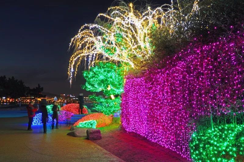 诗意宫灯,诗意元宵