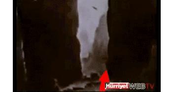 作为内蒙人,山羊这么牛的生物,竟然不了解?