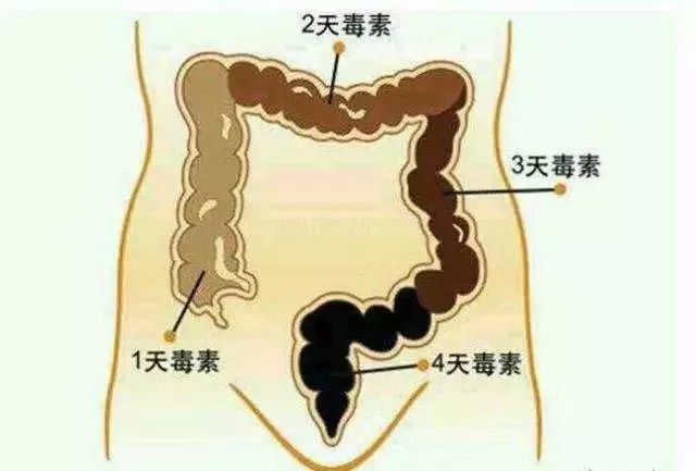 万病始于肠!每天1杯,轻松排肠毒,便秘、口臭、肚腩都没了!