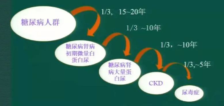 糖友尿里有潜血,尿蛋白3+是糖尿病肾病吗