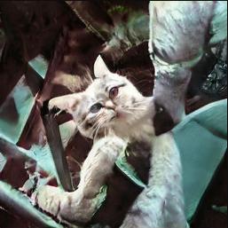 “每刷新一次生成一副假脸”的网站，迎来众多模仿者