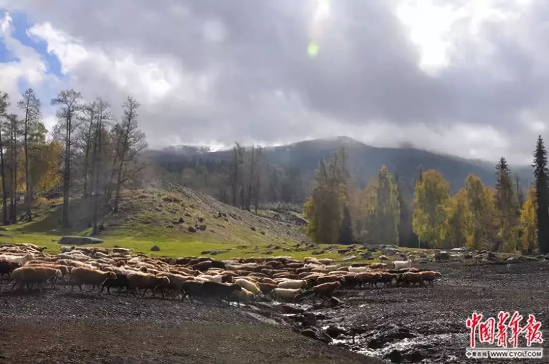 支教老师的千字长文,支教老师感动长文