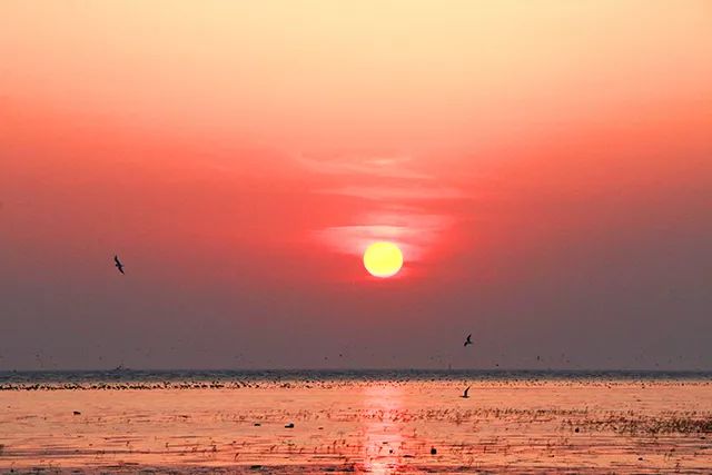 营口生活指南大全,营口市本地生活指南